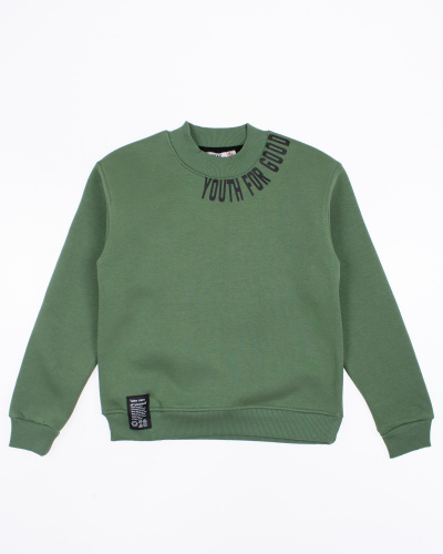 LEYZ KIDS 9843/4 Свитшот утепленный (цвет: Зеленый)