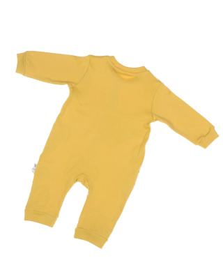 2023_01_27_0066341 2023_01_27_0066341