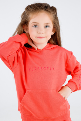 152.9445_3_3 152.9445_3_3